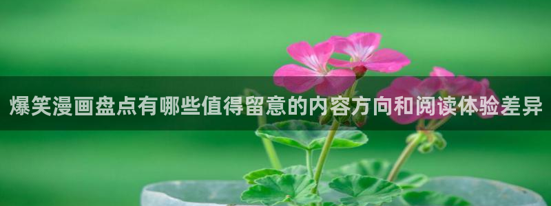 漫画岛排行榜：爆笑漫画盘点有哪些值得留意的内容方向和阅读体验差异