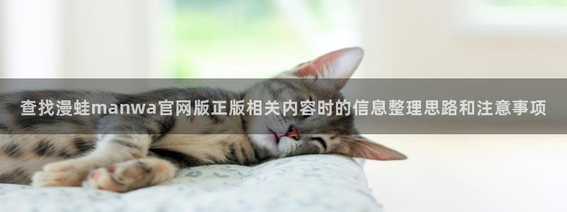 漫画岛网页导航：查找漫蛙manwa官网版正版相关内容时的信息整理思路和注意事项