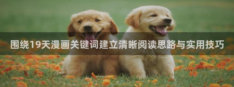 漫画岛穿越漫画：围绕19天漫画关键词建立清晰阅读思路与实用技巧