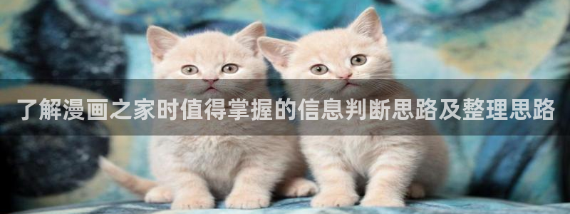 漫画岛最新章节更新：了解漫画之家时值得掌握的信息判断思路及整理思路