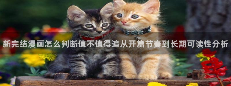 漫画岛漫画阅读导航:新完结漫画怎么判断值不值得追从开篇节奏到长期可读性分析